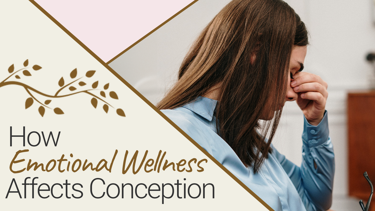 How Emotional Wellness Affects Conception 